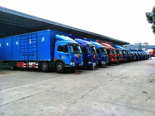 从仓储到送达 解析现代物流运输与仓储服务的核心构成